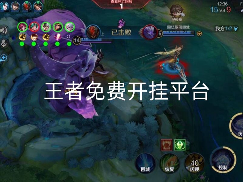 王者免费开挂平台-王者呆呆熊直装内透